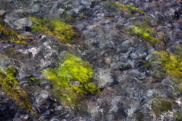 Zobacz Kolorowe Trawy Rzece Naturalnych Gorących Źródeł Hot Creek Geologiczne — Zdjęcie stockowe