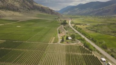 Canlı güneşli bir gün boyunca çiftlik alanlarıhavadan görünümü. Okanagan, Interior British Columbia, Kanada'da çekilmiş.