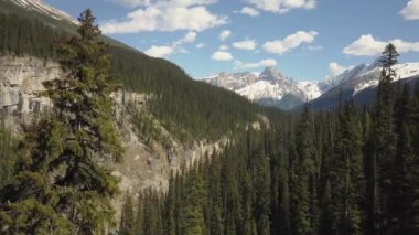 Canlı güneşli bir yaz günü boyunca Güzel Kanada Rockies Manzara Havadan görünümü. Alberta Kanada'da çekilen.