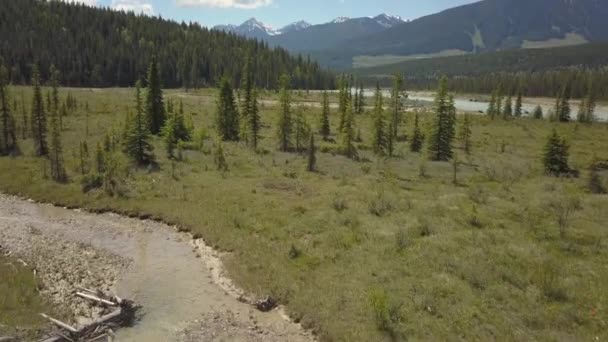 화창한 아름다운 캐나다 풍경으로 둘러싸인 계곡의 아름다운 도로의 앨버타 캐나다 — 비디오