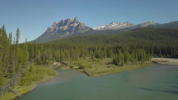 晴れた夏の日のカナダのロッキー山脈の風景の航空写真 カナダ アルバータ州で撮影 — ストック動画