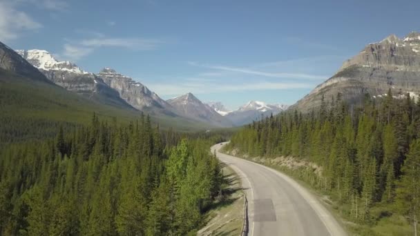 在阳光明媚的夏日 山谷中风景优美的道路鸟瞰图 周围环绕着美丽的加拿大山景 在加拿大阿尔伯塔省班夫附近拍摄 — 图库视频影像