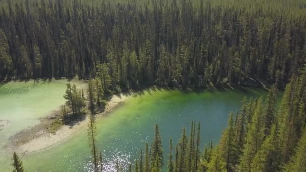 Vista Aérea Colorido Lago Glaciar Desierto Tomado Banff Alberta Canadá — Vídeos de Stock