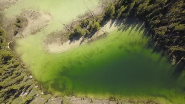 Widok Lotu Ptaka Kolorowe Jezioro Lodowcowe Pustyni Podjęte Banff Alberta — Wideo stockowe