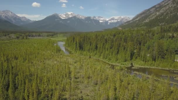 Luchtfoto Van Een Mooie Canadese Landschap Tijdens Een Zonnige Zomerdag — Stockvideo