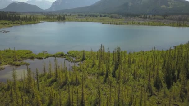 Luftaufnahme Der Wunderschönen Natürlichen Meereslandschaft Der Pazifikküste Während Eines Sonnigen — Stockvideo