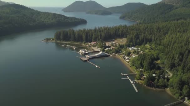 Widok Lotu Ptaka Małego Miasteczka Wybrzeżu Oceanu Spokojnego Słoneczny Letni — Wideo stockowe