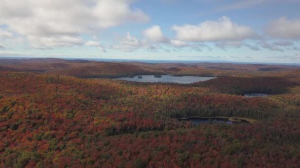 秋の色の季節の美しいカナダの風景の航空写真 カナダ ケベック州ポイント クロワ付近で撮影 — ストック動画