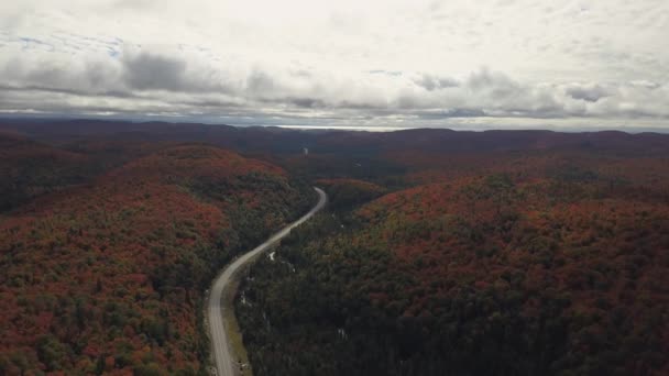 Veduta Aerea Bellissimo Paesaggio Canadese Durante Stagione Dei Colori Autunnale — Video Stock