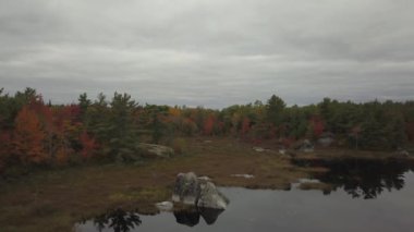 Güzel bir göle sahip renkli ağaçlar sırasında hava görünümünü sezon sonbahar. Büyük göl Flowage, Nova Scotia, Kanada alınan.