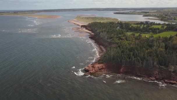 大西洋上美丽的岩石海岸的鸟图 拍摄于加拿大爱德华王子岛卡博特海滩省公园 — 图库视频影像