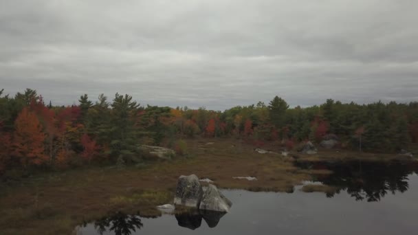中にカラフルな木と森の美しい湖の空中写真は秋シーズンです グランド湖流動 ノバスコシア州 カナダでの撮影 — ストック動画