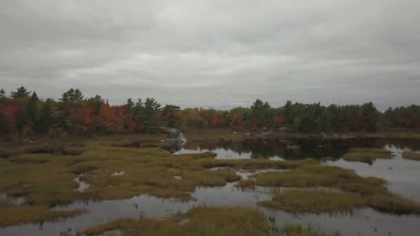Vista Aérea Hermoso Lago Bosque Con Árboles Colores Durante Temporada — Vídeos de Stock