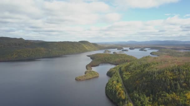 Luftutsikt Över Vacker Sjö Pulserande Solig Dag Tagen Newfoundland Kanada — Stockvideo