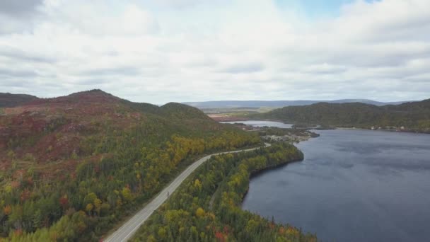 Aerial View Scenic Road Vibrant Sunny Day Taken Corner Brook — Stock Video