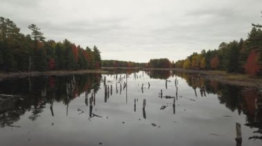 Güzel bir göle sahip renkli ağaçlar sırasında hava görünümünü sezon sonbahar. Büyük göl Flowage, Nova Scotia, Kanada alınan.