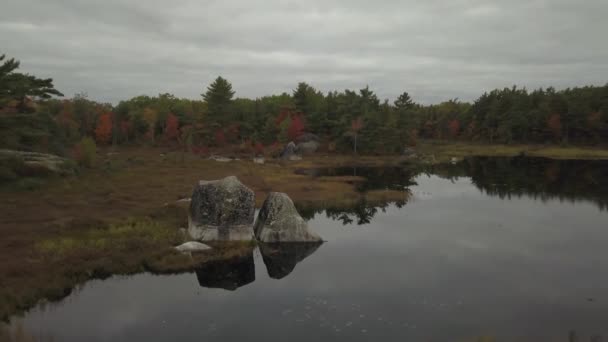 Flygfoto Över Vacker Sjö Skogen Med Färgglada Träd Höstsäsong Tagit — Stockvideo