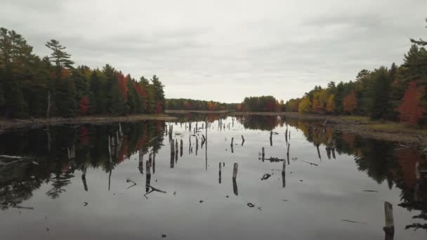 Vue aérienne d'un beau lac dans la forêt avec des arbres colorés pendant la saison d'automne. Prise à Grand Lake Flowage, Nouvelle-Écosse, Canada .