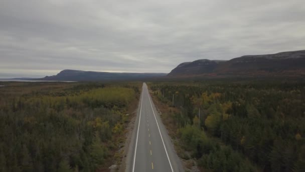 Vue aérienne d'une route panoramique près de la côte de l'océan Atlantique par une matinée nuageuse. Prise à Terre-Neuve, Canada .
