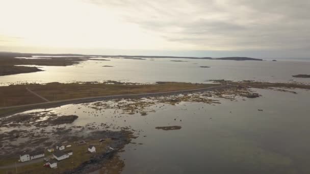 在多云的日子里 在岩石大西洋海岸上的一个小镇的空中全景 拍摄于加拿大纽芬兰圣安东尼附近的鹅湾东 — 图库视频影像