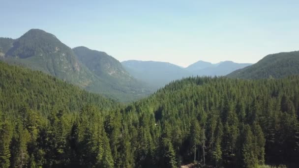 Luchtfoto Van Een Mooie Canadese Landschap Tijdens Een Zonnige Zomerdag — Stockvideo