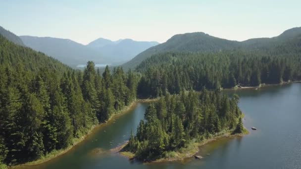 晴れた夏の日の中に美しいカナダの風景の空撮 ミッション 東のバンクーバー カナダの近くにある ケニヨン湖で撮影 — ストック動画