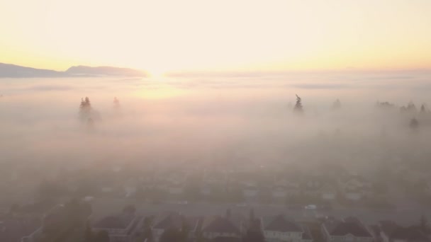 Aerial View Residential Neighborhood Covered Layer Fog Vibrant Sunrise Taken — Stock Video