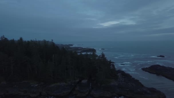 화창한 캐나다 프리의 밴쿠버 아일랜드 브리티시 컬럼비아 캐나다에서 — 비디오