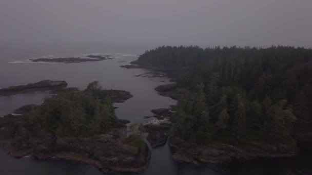 Aerial Seascape Utsikt Över Stilla Havet Kusten Molnig Sommar Solnedgång — Stockvideo