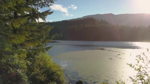 Luftaufnahme Einer Wunderschönen Kanadischen Landschaft Einem Sonnigen Sommertag Aufgenommen Northern — Stockvideo