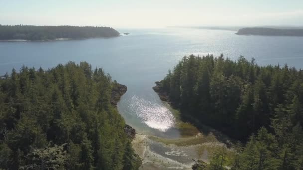 Luftaufnahme Einer Wunderschönen Kanadischen Landschaft Einem Sonnigen Sommertag Aufgenommen Northern — Stockvideo