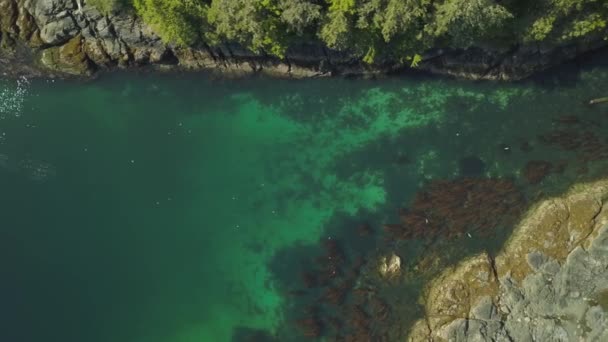 Αεροφωτογραφία Του Ένα Πανέμορφο Καναδικό Τοπίο Κατά Διάρκεια Μιας Ηλιόλουστης — Αρχείο Βίντεο