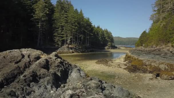 Vista Aérea Hermoso Paisaje Canadiense Durante Soleado Día Verano Tomado — Vídeos de Stock