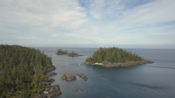 Luchtfoto Van Een Mooie Canadese Landschap Tijdens Een Zonnige Zomerdag — Stockvideo