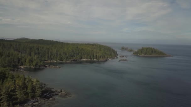 Luchtfoto Van Een Mooie Canadese Landschap Tijdens Een Zonnige Zomerdag — Stockvideo