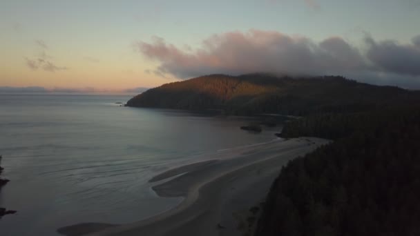 Belle Vue Aérienne Sur Paysage Marin Sur Côte Océan Pacifique — Video