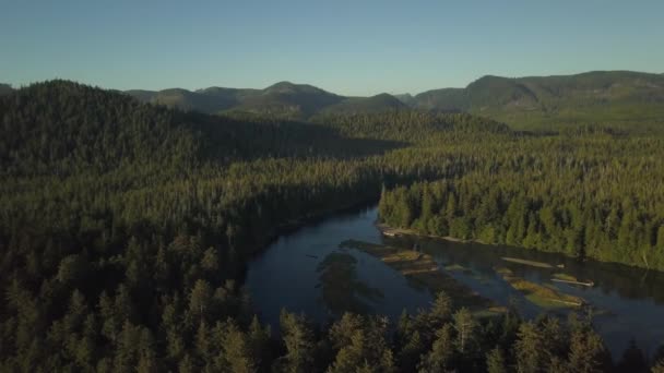 Beautiful Aerial Seascape View Pacific Ocean Coast Vibrant Summer Sunset — Stock Video