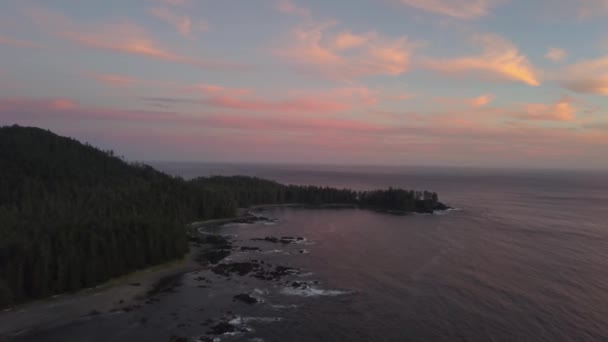 Belle Vue Aérienne Sur Paysage Marin Sur Côte Océan Pacifique — Video