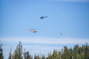 M.ö. Orman mücadele helikopter sıcak güneşli yaz gün boyunca ateşler. Bağlantı noktası Alice, Kuzey Vancouver Adası, British Columbia, Kanada alınan.