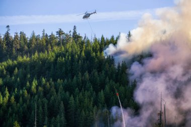 M.ö. Orman mücadele helikopter sıcak güneşli yaz gün boyunca ateşler. Bağlantı noktası Alice, Kuzey Vancouver Adası, British Columbia, Kanada alınan.