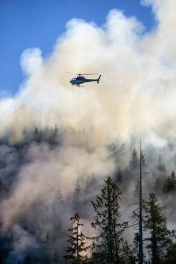 M.ö. Orman mücadele helikopter sıcak güneşli yaz gün boyunca ateşler. Bağlantı noktası Alice, Kuzey Vancouver Adası, British Columbia, Kanada alınan.