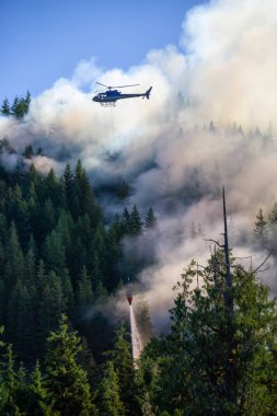 M.ö. Orman mücadele helikopter sıcak güneşli yaz gün boyunca ateşler. Bağlantı noktası Alice, Kuzey Vancouver Adası, British Columbia, Kanada alınan.
