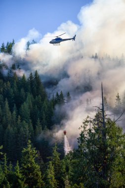 M.ö. Orman mücadele helikopter sıcak güneşli yaz gün boyunca ateşler. Bağlantı noktası Alice, Kuzey Vancouver Adası, British Columbia, Kanada alınan.