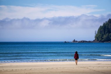 Bir bulutlu ve güneşli yaz sabahı sırasında Pasifik Okyanusu kıyısında güzel deniz manzarası. San Josef Bay, Vancouver Adası, British Columbia, Kanada içinde alınan.