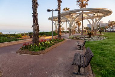 Beautiful walkway in the park by the ocean during a sunny sunrise. Taken in Netanya, Israel. clipart