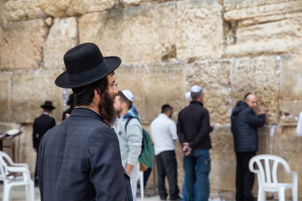 Kudüs, İsrail - 2 Nisan 2019: Dindar Adam, Hasidik Yahudi, siyah giyinmiş Eski Şehir'de Batı Duvarı tarafından dua ediyor.