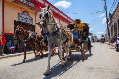 Cardenas, Küba - 11 Mayıs 2018: Güneşli bir günde Varadero yakınlarındaki Eski Küba Kasabası'nın sokaklarında at arabası.