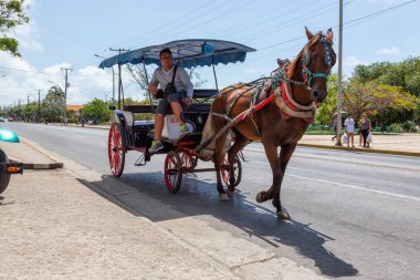 Varadero, Küba - 8 Mayıs 2019: Canlı ve aydınlık güneşli bir günde sokakta At Arabası Taksi Yedir.