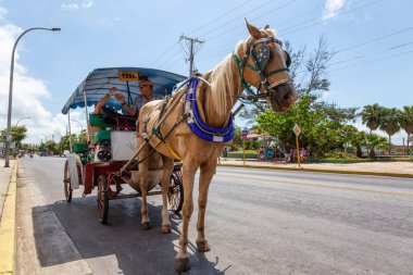 Varadero, Küba - 8 Mayıs 2019: Canlı ve aydınlık güneşli bir günde sokakta At Arabası Taksi Yedir.