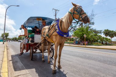 Varadero, Küba - 8 Mayıs 2019: Canlı ve aydınlık güneşli bir günde sokakta At Arabası Taksi Yedir.